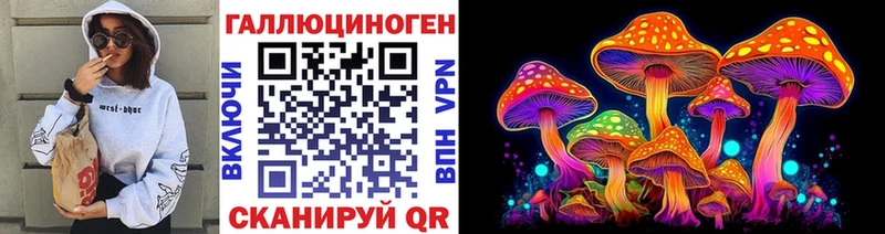 Псилоцибиновые грибы Psilocybe  Шелехов 